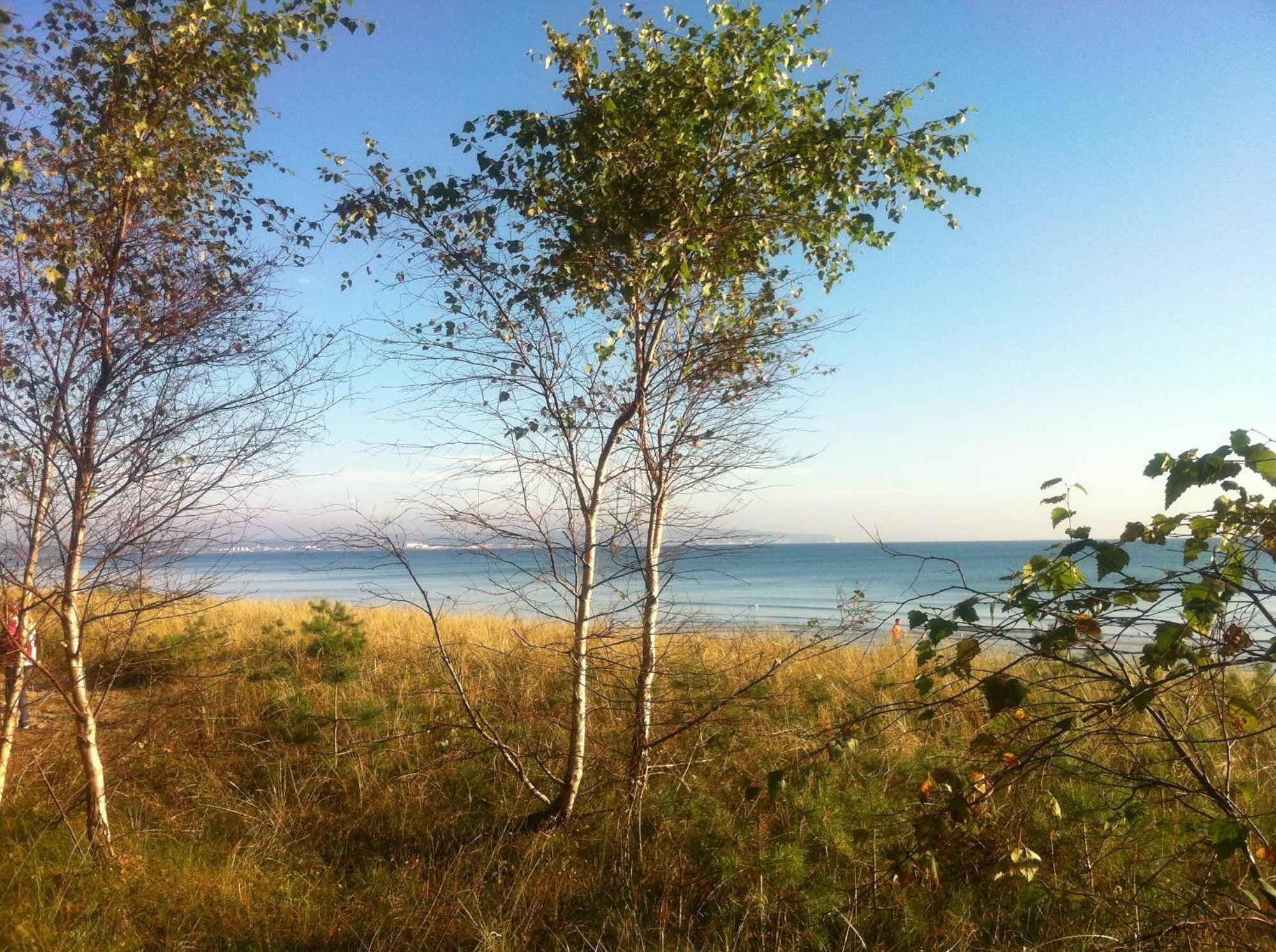 Appartement Haus Dohrmann - Stilvoll Wohnen Im Gruenen Mit Direktem Strandzugang *