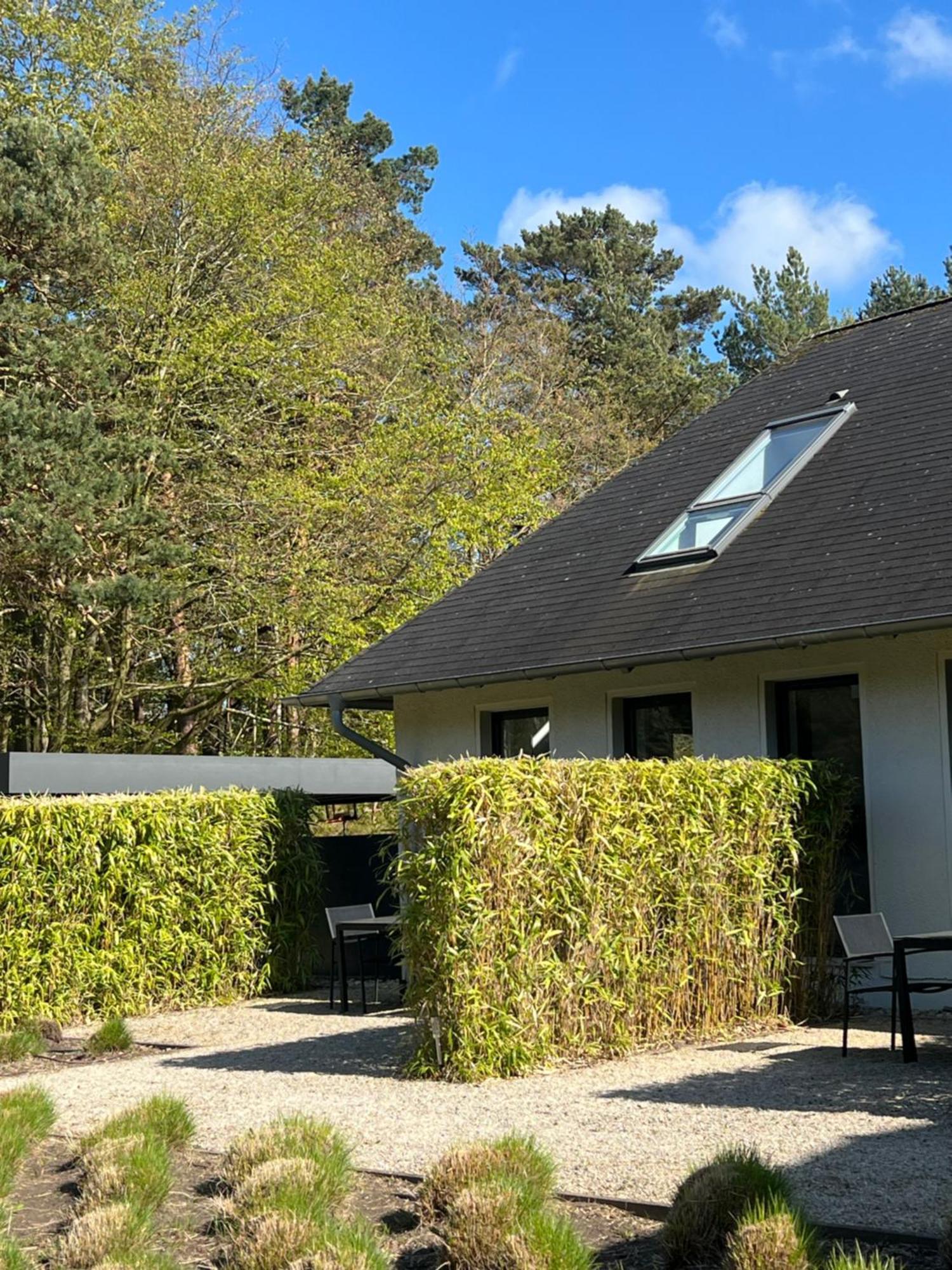 Haus Dohrmann Apartment